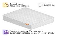 Татами